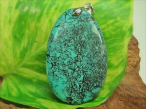 �y�y���_���g�g�b�v�z�V�R�^�[�R�C�Y10g�y��_���z