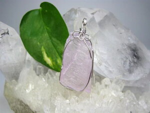 �y�y���_���g�g�b�v�z�N���c�@�C�g18g