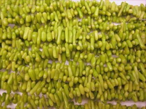 yA菤izCG[O[R[iXj40cm