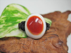 y`xbgVwցzrEV15y_z