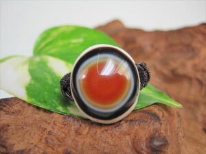 y`xbgVwցzrEV9yzy_z