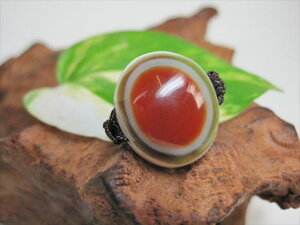 y`xbgVwցzrEV9yzy_z