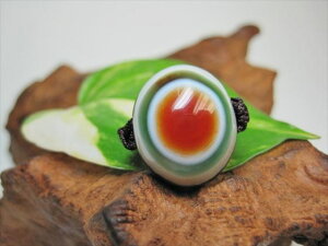 y`xbgVwցzrEV10y_z