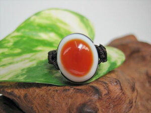 【チベット天珠指輪】羊眼板珠・天眼珠11号【一点物】