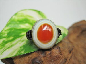 【チベット天珠指輪】羊眼板珠・天眼珠11号【一点物】