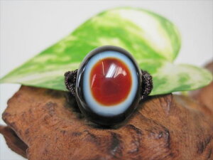 【チベット天珠指輪】羊眼板珠・天眼珠11号【一点物】