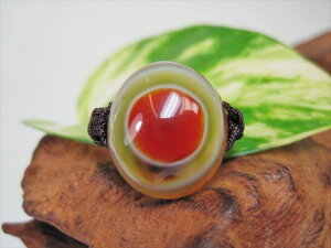 【チベット天珠指輪】羊眼板珠・天眼珠11号【一点物】