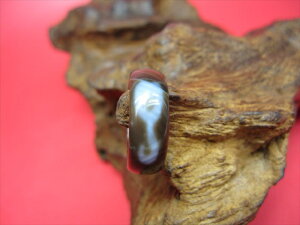 【チベット天珠指輪】水蓮花天珠11号【一点物】