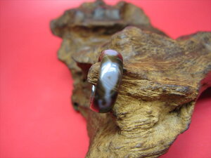 【チベット天珠指輪】水蓮花天珠11号【一点物】