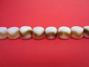 y`xbgVzՉVE10×11±0.5mmy6SETz