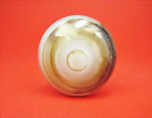 y`xbgVzrEV30×16mmy_z