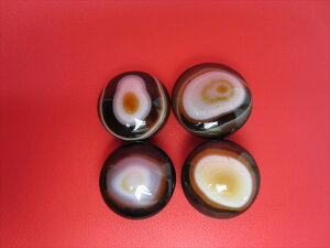 y`xbgVzrEVy4SETzy_z