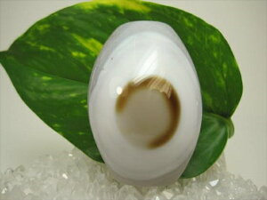 y`xbgVzrEV45×31×22mmyzy_z