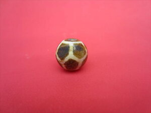 【チベット天珠】木化石・亀甲長寿天珠約Φ14mm【木珠】【一点物】