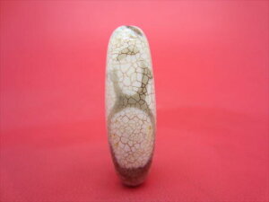 y`xbgVz_VE37×12mmy_z