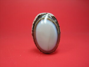 y`xbgVzrEV30×17×14mmyzy_z