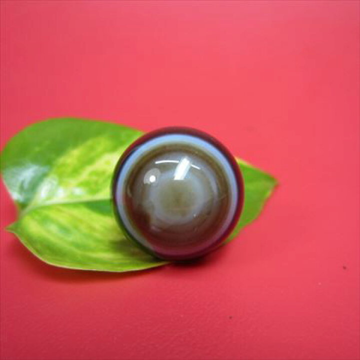 楽天市場】【チベット天珠】羊眼板珠・天眼珠約20×13mm【一点物 