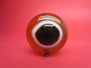 y`xbgVzrEV27×13mmy_z