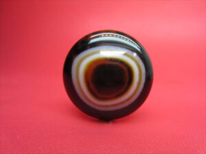 y`xbgVzrEV28×15mmy_z