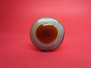 y`xbgVzrEV24×14mmyzy_z