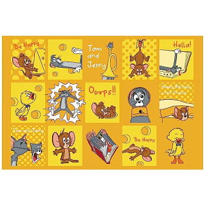 XP[^[(Skater) qp W[V[g  STCY 60×90cmTCY g&WF[ nbs[ VS1-A