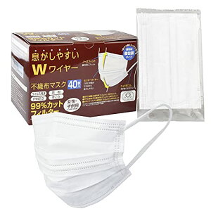 t@C FIN-985S ₷WC[sDz}XN40()qp