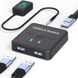 USB ؑ֊ USB-A o ؂ւ 21o/12o 茳XCb` PC2p 1̃v^[2̃p\RŎgp U