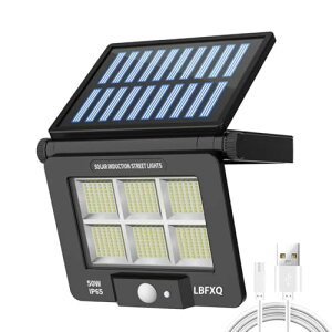LBFXQŐV2024\[[Cg ZT[Cg O2800mAH /96LED/50Wvr[Y  [ K[fCgxl