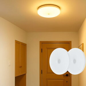 aǕi V[OCg ^ lZT[ փCg F 4-6Ή 1100LM ^ _ ȃGl L ֏Ɩ lZ