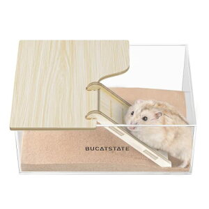 BUCATSTATE nX^[ NA gC 傫 Xebvt 210*145*82mm @\ oX  |₷ EL 