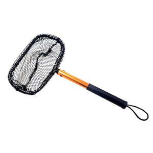 MARUSHINGYOGU(}V) DRAGON o[lbgAWXNC