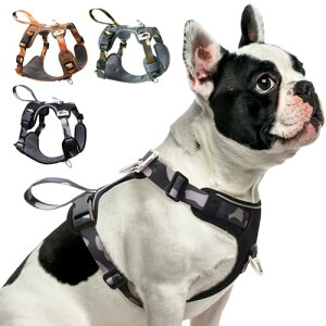 JC HOUSE  n[lX y p ʋC Ȃ AɗD h~ Sypn[lX3Mˍޗ ȒPE U/