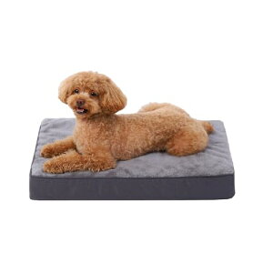 KSIIA VjA xbh  ̈U  xbh 􂦂 pxbh h ybgxbh  NbV lp`  P[Wp 