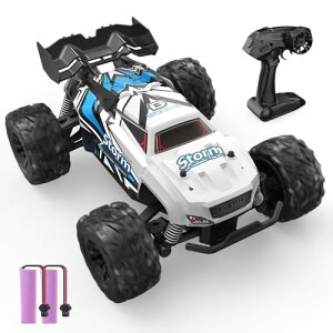 DEERC ���W�R�� �I�t���[�h ���W�R���J�[ �q������ 1/20 �d��RC�J�[ �S�n�`�Ή� 2.4GHz �����R���J�[ �Ɨ����˃V�X�e�� �Ԃ�