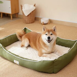 EMMEh xbh lG ybgxbh 􂦂 |₷ Lp ybg\t@[ pxbh v IbNXtH[hn ^ ^