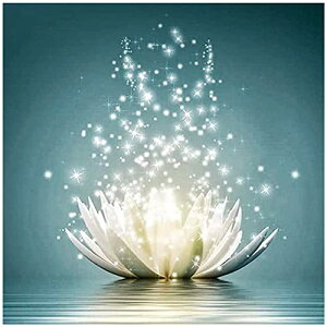 5d_ChA[g [^X 5D _Chh UCNA[g _ChyCeBO Lbg r[YG Sʓ\t^Cv r