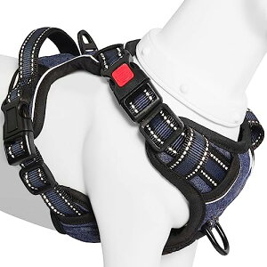 [2025ŐV^n[lX]BaoCheng p ^/^/^n[lX p h~ A^}ʂ P݌y T