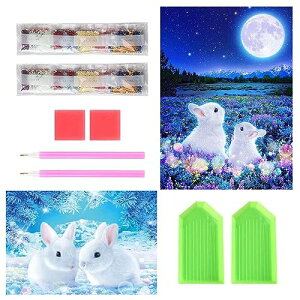 TRX _ChA[g Lbg _Ch̊G 2Zbg ꂢ  Sʓ\t 5D _ChA[g S l̎q