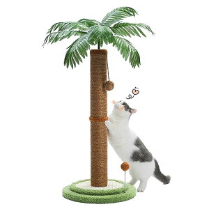 PAWZ Road L ܌ V̖ ܂Ƃ|[ c^   RRibc RRV Lbg^[ X 2wy 萫 lC