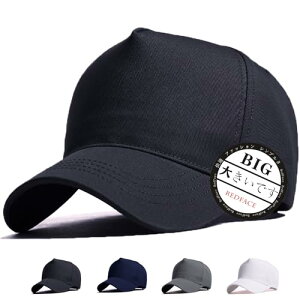 RF Lbv 傫TCY Xq Y [ 60-65cm V jp   Β lC n ڂ(ubN)