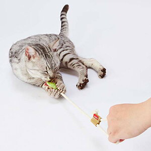 yeBI (Petio) Lp ւ܃U[ f^TOY Ђ炵 O[