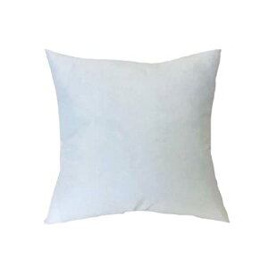 �쓇�D���Z���R�� ���� �k�[�h�N�b�V���� 30×30 LT1510 ���Y ���{�� ���k �z���C�g 30X30cm