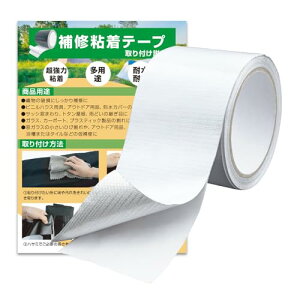 Ce[v eg ̓e[v JoXCe[v \ʐ≏̃A~ KX@ۓ ̓Ke[v pr EMɋ  C