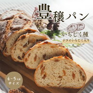 【天然酵母】外パリ中もっちり！いちじくたっぷり ハード系 白いちじくパン 大サイズ ワインのお供に 冷…