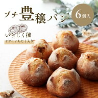 無添加 ハード系 天然酵母パン 白いちじく 6個入 冷凍パン ギフト 詰め合わせ 敬老の日 残暑見舞い お取…
