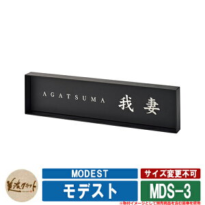 \D  fXg MODEST MDS-3 FwAC x[XFcFh ZNtg ˌ 和 }V Vv fUC