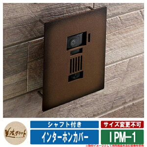 \D  C^[zJo[TC C^[zJo[ IPM-1 ZNtg ˌ 和 }V Vv fUC