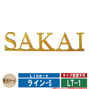 \D  C-S Line-s LT-1 XeX ZNtg ˌ 和 }V N[  Vz