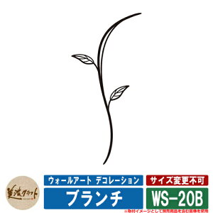 \D  EH[A[g fR[V u` WS-20B ZNtg ˌ 和 }V Vv fUC