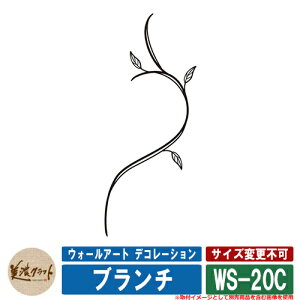 \D  EH[A[g fR[V u` WS-20C ZNtg ˌ 和 }V Vv fUC